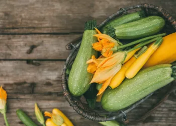 Zucchini