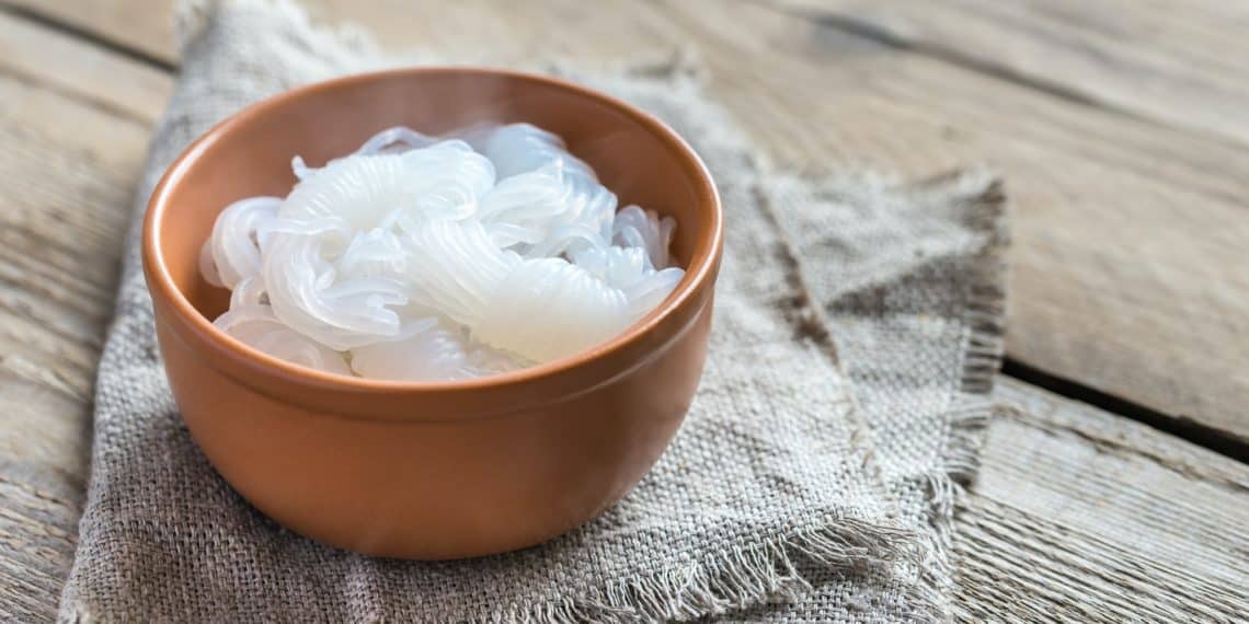 Bowl Of Shirataki Noodles