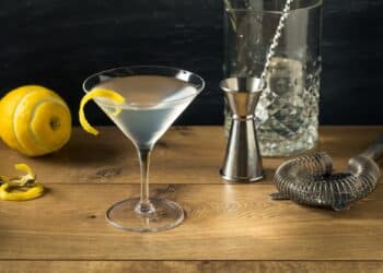 Refreshing Gin Martini