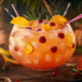 Scorpion Bowl