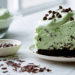 Grasshopper Pie Creamy No-Bake Mint Chocolate Pie